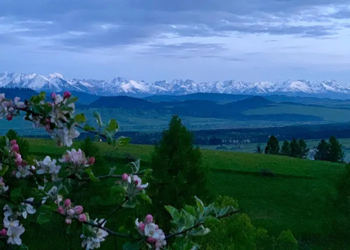 Koza U Woza Wypocznij W Gorach W Rytmie Slow Drewniany Dom Premium Z Widokiem Na Panorame Tatr Ecospa Strefa Fitness Zielona Farma Warsztaty (Adults Only)