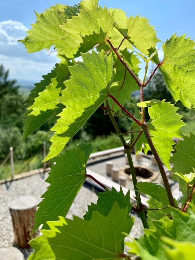 Koza U Woza Wypocznij W Gorach W Rytmie Slow Drewniany Dom Premium Z Widokiem Na Panorame Tatr Ecospa Strefa Fitness Zielona Farma Warsztaty (adults Only) Szlembark