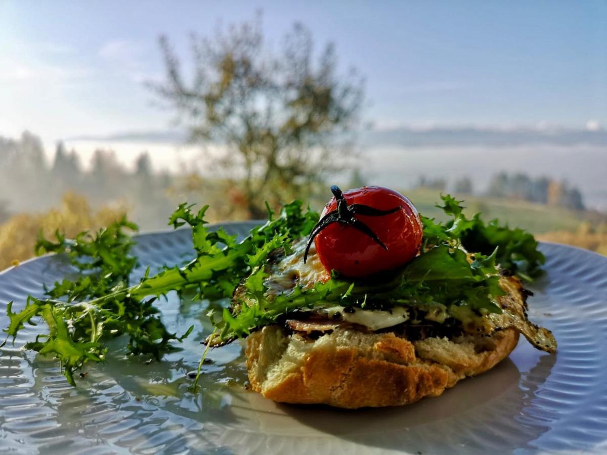 Koza U Woza Wypocznij W Gorach W Rytmie Slow Drewniany Dom Premium Z Widokiem Na Panorame Tatr Ecospa Strefa Fitness Zielona Farma Warsztaty (adults Only) Szlembark