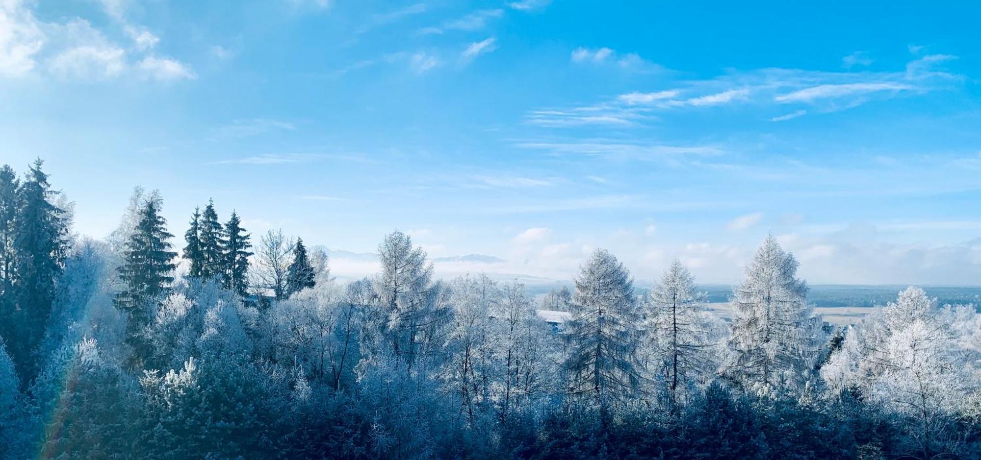 Chalet Koza U Woza Wypocznij W Gorach W Rytmie Slow Drewniany Dom Premium Z Widokiem Na Panorame Tatr Ecospa Strefa Fitness Zielona Farma Warsztaty (adults Only)