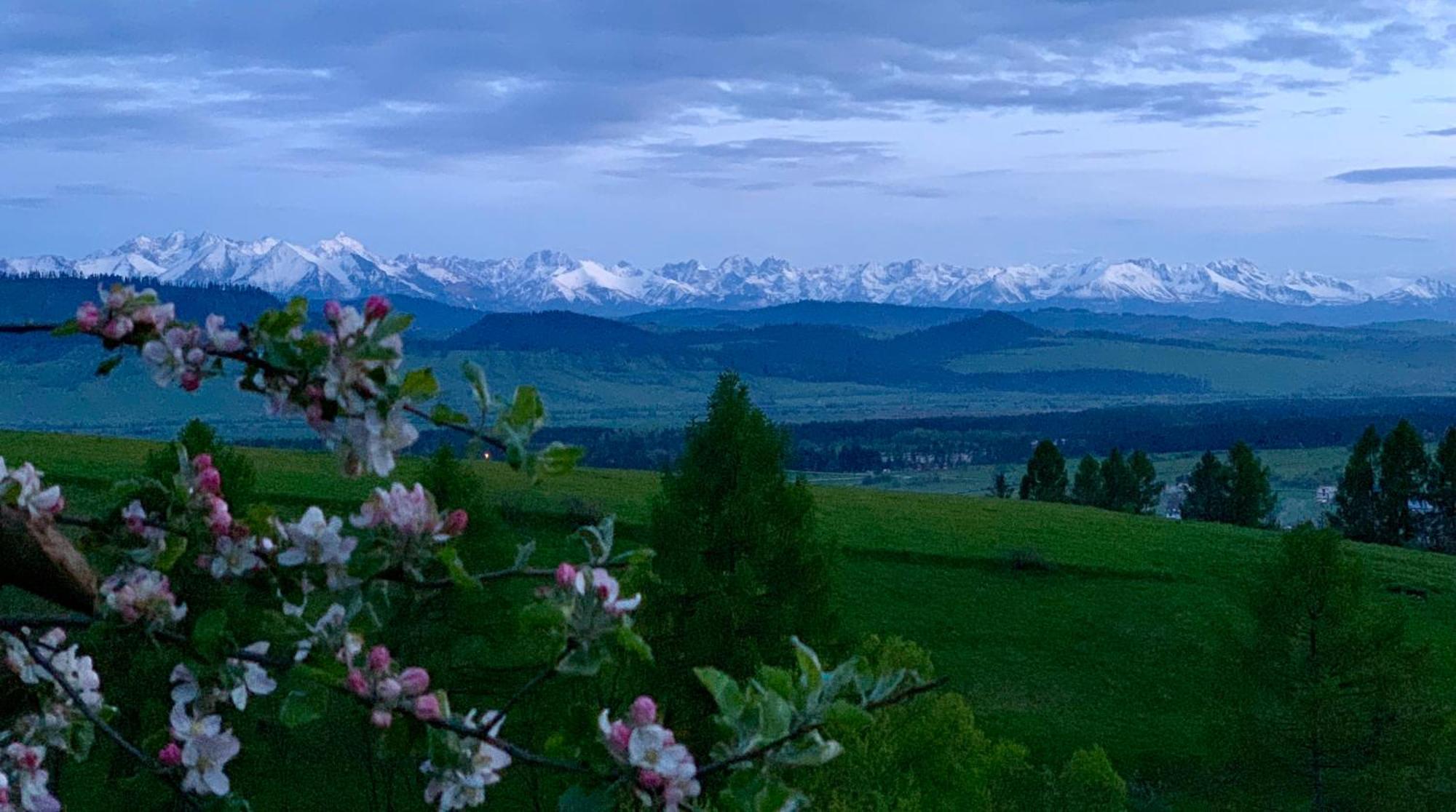 Koza U Woza Wypocznij W Gorach W Rytmie Slow Drewniany Dom Premium Z Widokiem Na Panorame Tatr Ecospa Strefa Fitness Zielona Farma Warsztaty (adults Only)