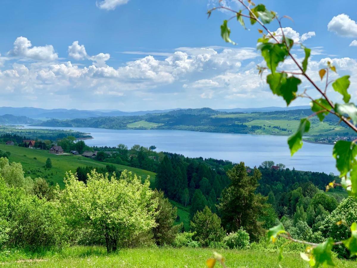 Koza U Woza Wypocznij W Gorach W Rytmie Slow Drewniany Dom Premium Z Widokiem Na Panorame Tatr Ecospa Strefa Fitness Zielona Farma Warsztaty (adults Only) *